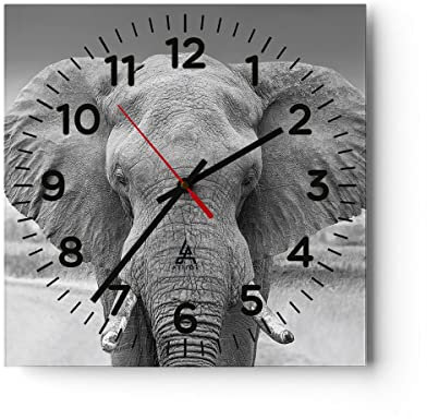 ARTTOR Modern Wanduhr Elefant Afrika Tier 40x40cm Quadrat Groß Wand Uhr Glas Analog Zimmeruhren Küche Büro Wohnzimmer Glasuhr Wall Clock Dekoration Design Wanddekoration Küchenuhr C4AC40x40-5072