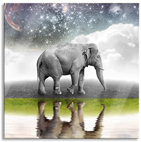 Pixxprint Glasbild, Wandbild auf Echtglas, Traumhafter Elefant auf Wiese, 40x40 cm, inkl. Aufhängung und Abstandshalter