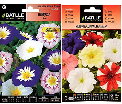 Semi di Fiori – Bel Giorno variegato – Batlle & Petunia Compacta VARIADA, Multicolore