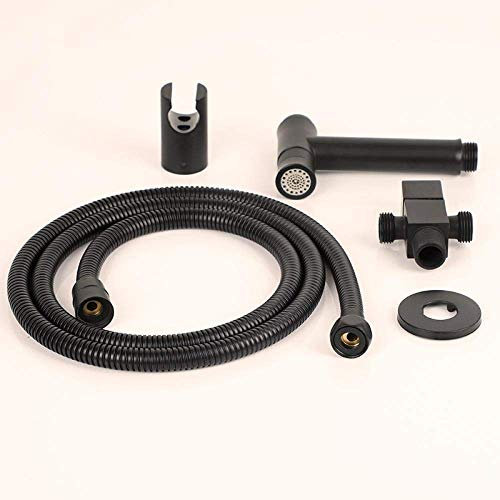 BOSHYUM WC Bidet Bidet-Free in Acciaio Inox Dual-Mode Toilet Companion Bidet Bidet Booster Pistola A Spruzzo Set