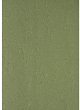 Clairefontaine 2775C Deckblätter - Rückwände, Karton mit Lederstruktur, DIN A4, 240 g/m², 100 Stück, dunkelgrün