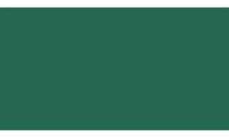 ZAMBOTTO VERNICI Varnish for Water Iron Finishing for Indoor and Outdoor Use in Various Colours Shiny from 2.5 to 10 kg (RAL 6005 - Dark Green 2216, 5 kg)