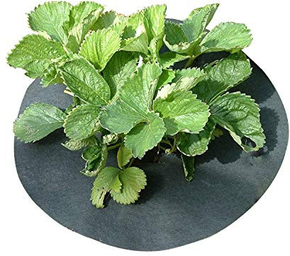 Gardening Naturally Copper Impregnated Strawberry Mats - Keep Slugs & Snails away from plants. 11 (27cm) Diameter Pack of 6
