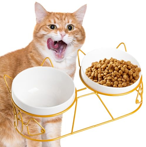Sporgo Gamelle surélevée pour chat - Large gamelle surélevée - En céramique - Avec support - Pour chat et chien - Doré A