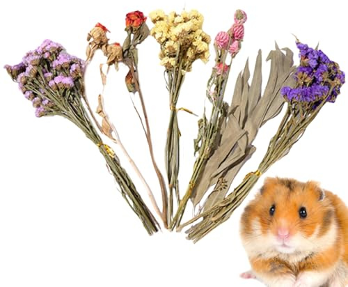 Gwtdtoad Hamster Heublumen Einstreu Natürlich Getrocknete Blumen Und Pflanzen Hamster Einstreu, Geblümtes Hamsterkäfig Zubehör Für Sommer Desodorierungs Und Landschafts Zubehör 25 cm