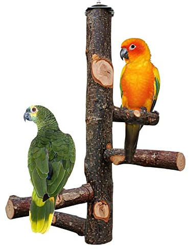Naturholz Vögel Spielzeug, Sitzstangen für Papageien, Naturholz Sitzstangen, Stangen Vogelzubehör, für Kleinsittiche, Nymphensittiche, Sittiche, Aras, Papageien, Turteltauben, Finken