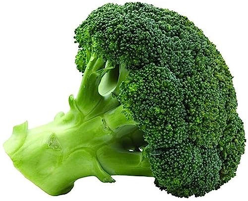 500 Stück Brokkoli-Blumenkohlsamen, köstliches, nahrhaftes Gemüse, Hausgarten-Pflanzenblume, Obstbaum-Gemüsesamen Brokkoli-Samen