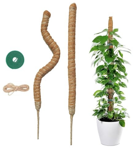2 x 60 cm Palo di Muschio - Sostegno Supporto per Piante in Fibra di Cocco - Bastone per Piante Rampicanti con Corda di Iuta e Chiusura a Strappo - Adatto alla Crescita di Monstera e Altre Rampicanti