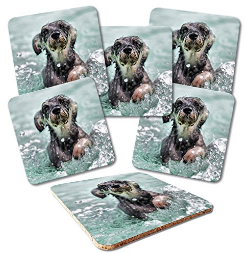 ADDIES Glas-Untersetzer 6-TLG.Set Bedruckt Motiv HUNDE-02 in hochwertiger Klarsicht-Geschenkbox und Korkrückseite, Tier-Motiv