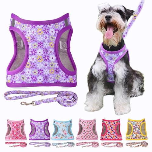 Moonpet Step in Air Hundegeschirr Leine Set – Reflektierendes Blumenmuster gepolsterte Netzweste Geschirr für Katzen, Welpen, extra kleine, kleine, mittelgroße Hunde-Violette Blume, L