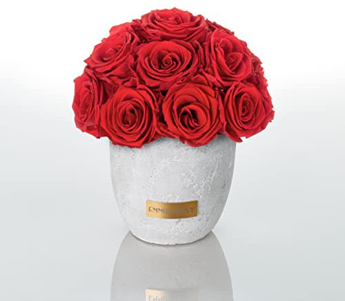EG EMMIE GRAY Solid Infinity Collection - Traumhafte Infinity Rosen, 1-3 Jahre haltbare Rosen, Betonvase mit echten, konservierten Rosen, edle Premiumrosen - Größe S (Vibrant Red)