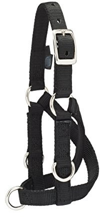 Weaver Leather Halfter für Viehtiere, Schaf- und Ziegentraining, klein, Schwarz