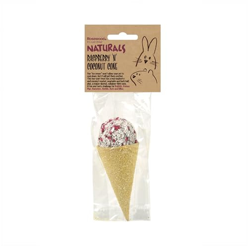 Rosewood Naturals Raspberry 'n' Coconut Cone, Small Animal Treat for Rabbits, Guinea Pigs, Hamsters, Gerbils, Mice and Rats