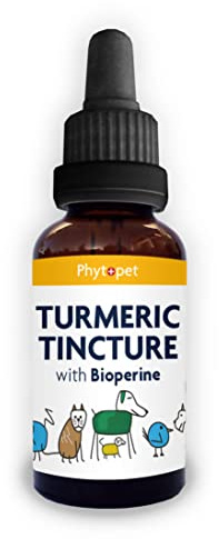 Phytopet Turmeric Root Extract | 100ml | Natural Anti-Inflammatory & Liver Support | Curcuminoids, Antimicrobial Properties | For Dogs, Cats, Birds, Horses