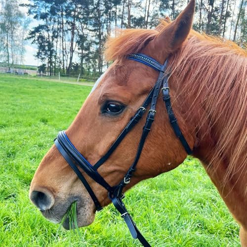 Brama West Ledertrense Pferd Sparkle - englisch kombiniert - Reithalfter mit Antislip Zügel und Strasssteinen - Royal, Gr. Full