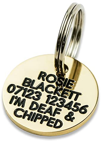 Engraved Dog tag, Deeply Engraved, Solid Brass 21mm Circular Dog tag