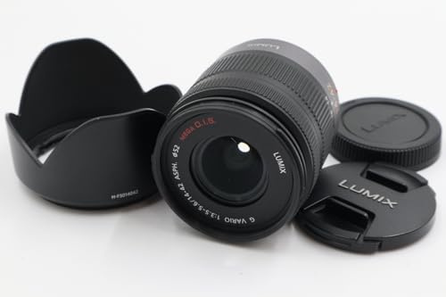Panasonic H-FS014042E Objectif zoom grand-angle stabilisé 14-42 mm