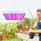 ele ELEOPTION LED Cultivo Lámpara de Plantas Espectro Completo Lámparas de Crecimiento, Plantas de Interior Caja de Cultivo invernaderos Hidropónico Vegetal Flor Crecimiento (45W)