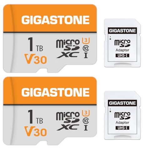 GIGASTONE 1TB MicroSDXC Speicherkarte 2er-Pack + SD Adapter, bis zu 140/100 MB/s, für Action-Kamera GoPro Drohne und Tablet, 4K UHD-Videoaufnahme, Micro SD Karte UHS-I A1 Klasse 10 U3