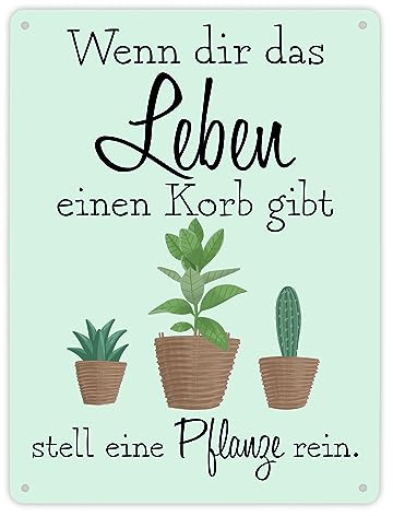 Wenn dir das Leben eine Korb gibt stell eine Pflanze rein Metallschild XL in 21x28 cm Blechschild für Pflanzenliebhaber und witziges Geschenk für Hobbygärtner mit Spruch