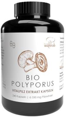 Pilze Wohlrab - BIO Polyporus Extrakt Kapseln - 1 Dose - 240 Kapseln - 350 mg reines Pilz Extrakt je Kapsel - Vitalpilze Extrakt - Vitamin C Acerola