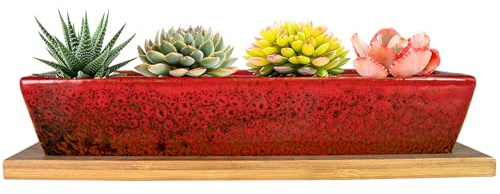 ARTKETTY Sukkulententententöpfe, 24,9 cm, Keramik-Sukkulenten-Pflanzgefäße mit Drainage, Kleiner Bonsai-Topf mit Bambus-Tablett, Mini-Kaktus-Blumentopf, flach, rechteckig, Fenster-Pflanzgefäße für