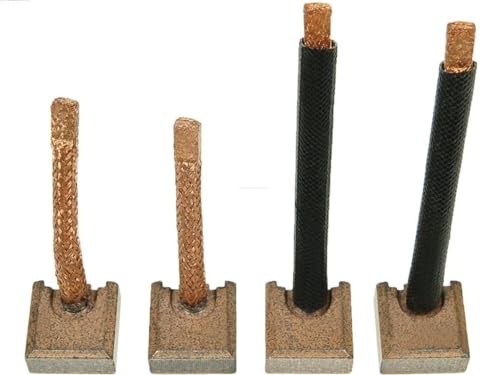 AS-PL SB3004 - Juego de cepillos de arranque