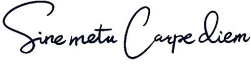 Calcomanías De Tatuaje De Hierbas De Jugo Intrépido Y Oportuno Carpe Diem Simulación A Prueba De Agua Pegatinas De Tatuaje Que No Se Desvanecen