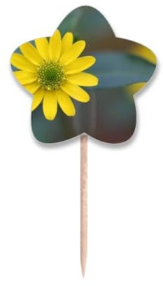 Palillos de dientes con diseño de flores amarillas, diseño de crisantemo verde, con etiqueta de estrella, palillos para cupcakes