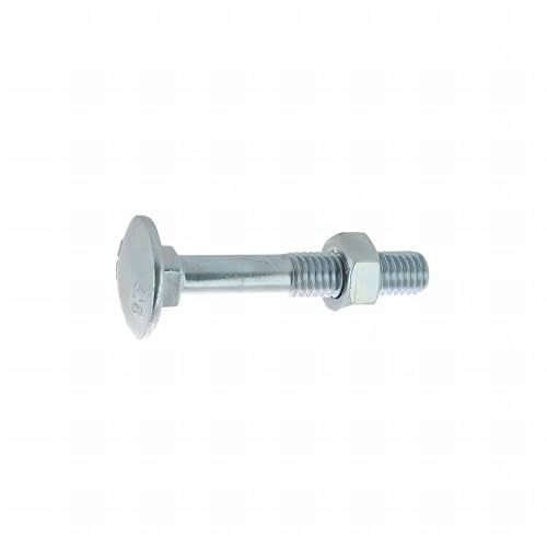 25 Boulons tête ronde collet carré DIN603/555 acier zingués blanc diamètre 14,0 mm - Longueur 100 mm - Diamètre 14 mm