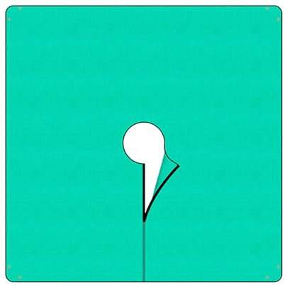 Bexdug Bâche de jardin – Tissu de jardin | Barrière imperméable et robuste de 200 x 200 cm pour allée, parterres de fleurs, pelouse, cour, jardinage extérieur