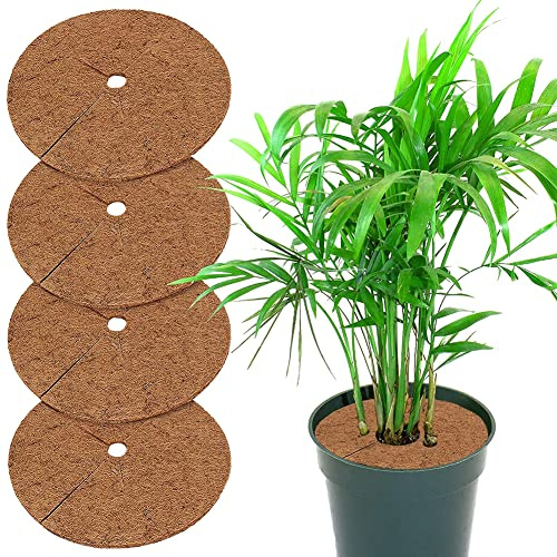 JIHUOO Lot de 6 disques de paillage en coco - Diamètre : 30 cm - Protection contre le gel - Protection hivernale - Protection contre le froid - Pour plantes en pot