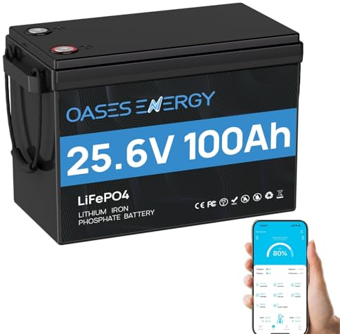 Oasesenergy LiFePO4 24V 100AH Lithium Batterie mit Bluetooth 100A BMS,Verbesserte Mini-Größe, 2560Wh Nutzbare Energie für HeimSolaranlage,Wohnmobil, Camping, Boote, Off-Grid-Anwendungen