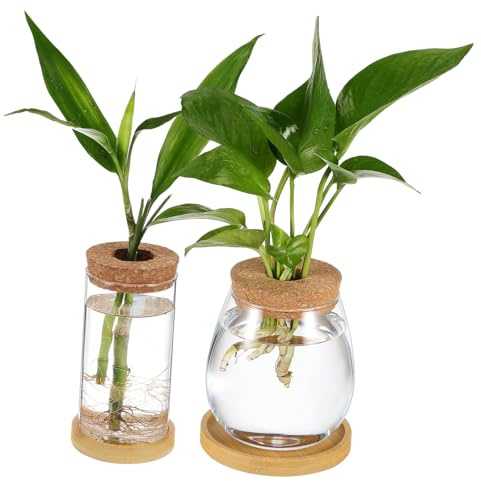 FUTUREORYY 2 Piezas Jarrones de para Propagación Hidroponía Unidades con Tapa de Corcho Perforada y Bandejas Macetas Transparentes para Plantas de Interior Diseño Elegante y Protección