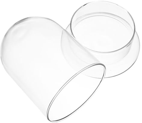 NUOBESTY Cloche en Verre Décorative Écologique Grosse Taille avec Petit Trou Récipient Paysager Transparent pour Micro-Paysage Décoration de Table et Terrarium pour Plantes de Bureau