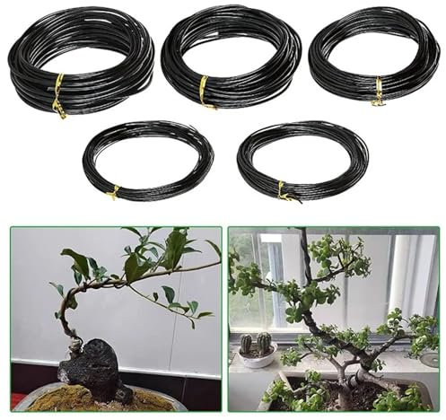 Fil De Fer Pour Bonsaï Fil d'entraînement for bonsaï en aluminium anodisé, 5m, Support for plantes, formes de plantes, accessoires de jardin, 5 tailles 1/1, 5/2/2, 5/3mm Fil De Ligature Bonsai(2.5mm)