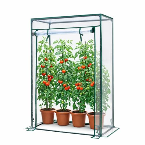 KANWOD Gewächshaus Klein, Tomatengewächshaus mit Tür zum Aufrollen, Foliengewächshaus Winterfest, Stabil & Einfach zu Montieren, für Balkon, Terrasse, Garten, 150 x 100 x 50 cm, Transparent