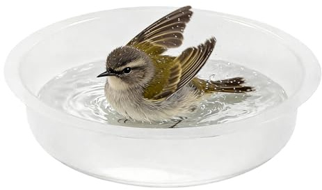 DzpKrka Tipo Bandeja para Pájaros - Plato de Alimentación | Plato de Agua de Repuesto para Aves | para Gorriones Pinzones Inseparables Jardín Parque Patio Terraza Exterior Balcón