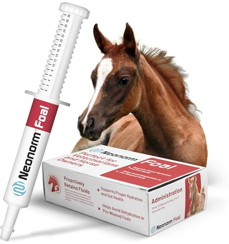 Neonorm Jaguar Animal Health Foal - Equine Supplement Paste for The Support of Proper Hydration & Bowel Health - Plant-Based Product for Pre-Weaned Foals (30 mL)