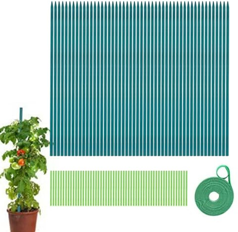 Varillas para trepar tomates, con material de unión y cinta adhesiva Monstera, para plantas en maceta, como orquídea hiedra Monstera, así como pimientos de tomate en casa jardín