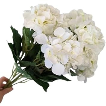 Bouquet de Hortensia Fresca BLANCO con 10 Flores para Sorprender en Cualquier Evento