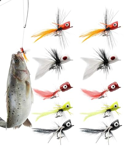 Basses pour la pêche à la mouche | 10 appâts secs pour pêche à la mouche | hameçons d'appâts réalistes surfaces sous-marines pour truite, saumon dans les rivières, les étangs, les lacs, les eaux