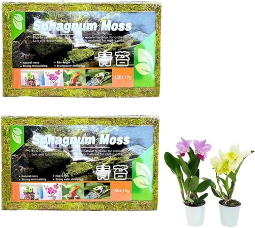 Youning Natürliches Sphagnum Moos Torfmoos für Garten Zimmerpflanzen Terrarien Blumenerde Wassermoos Trockenmoos Wasser Gras Substrat Spaghnummoss Kultursubstrat für Pflanzen Orchideen (2 Beutel)