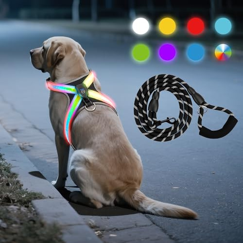 WATSABRO LED Hundegeschirr Set, mit 1,5m Reflektierende Hundeleine, Verstellbare Aufladbares Beleuchtetes Hundegeschirr für Nachtspaziergänge(Nicht geeignet für kleine Hunde wie Chihuahuas)
