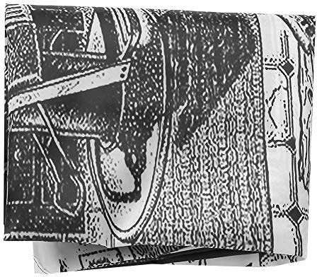 AMONIDA Capa de Peluquero Impermeable para Corte de Pelo, Capa de Salón Antiestática, de Peluquería de 150 * 135cm para Salón y Barbería, Tela de Nailon