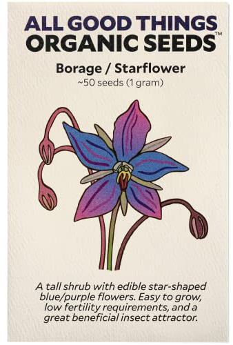 All Good Things Organic Borage Seeds - Pack of 50, Heirloom Seeds for Planting Herbs - Gardening Supplies, Herb Garden, Wildflower, Flower Seeds to Plant Outside - Non-GMO, from USA