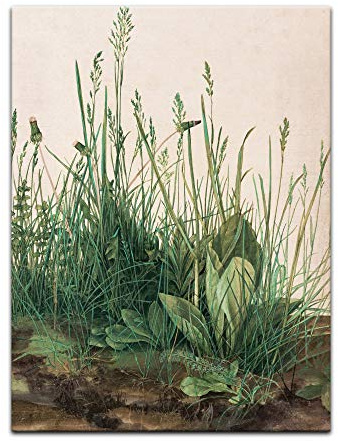 Bilderdepot24 Kunstdruck Poster - Albrecht Dürer Das große Rasenstück 60x80 cm ca. A1 - Alte Meister Bild ohne Rahmen