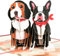 GREETING ART Valentinstag Karte,Pop Up Karte Hunde,3D Hochzeitskarte mit Hund,Schöne Grußkarte, Geburtstagskarte frau,Geschenkarte zum Valentinstag, Jahrestag, Verlobung
