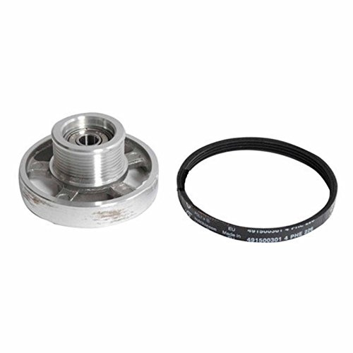 121 AV Blomberg Wäschetrockner Trockner Riemenscheibe und Motor Gürtel (226 4phe) 492204403