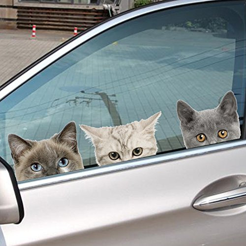 JenNiFer wasserdichte Cute 3D Katze Hund Auto Aufkleber Wand Fensteraufkleber